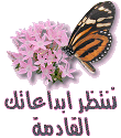 اللغه العربيه 4046